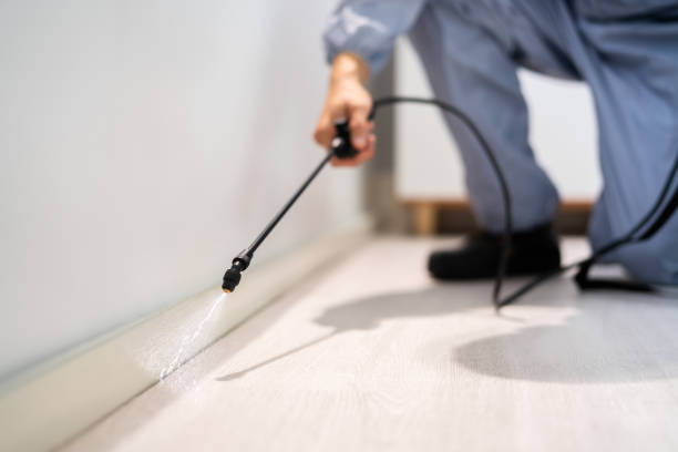 Bed Bug Pre-Treatment Preparation Assessment in Rogers